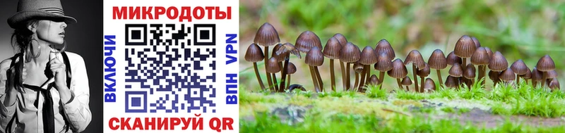 Галлюциногенные грибы ЛСД  Кузнецк 