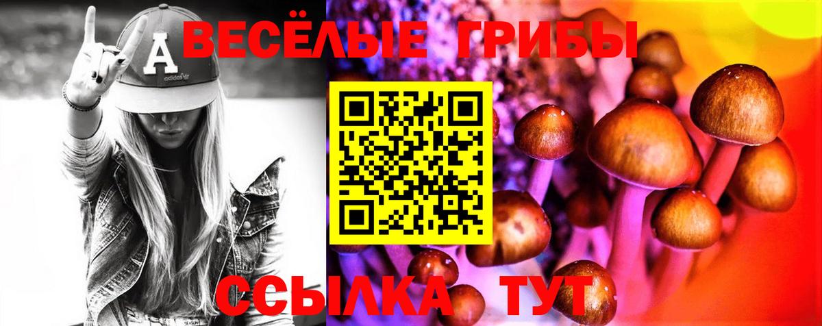 Галлюциногенные грибы GOLDEN TEACHER  Вход с VPN  Кузнецк 