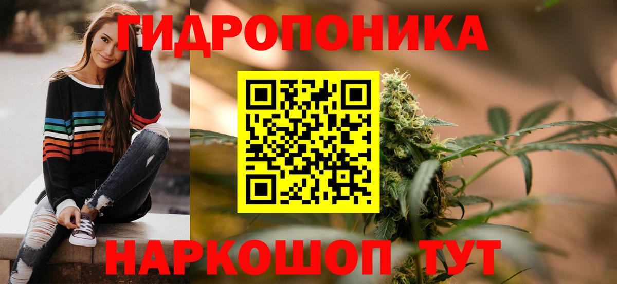 Каннабис гибрид Кузнецк